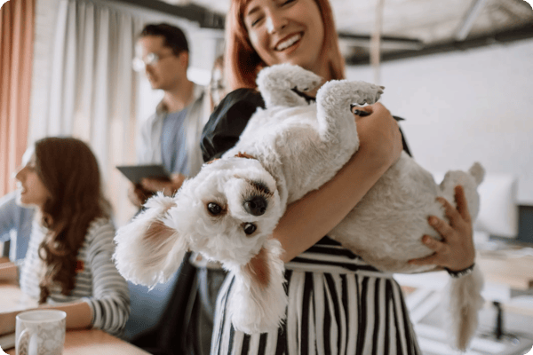 female employees holds a small white dog at a dog friendly office