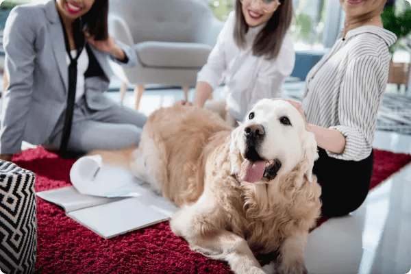 group of event attendees pet a therapy dog during a breakout session