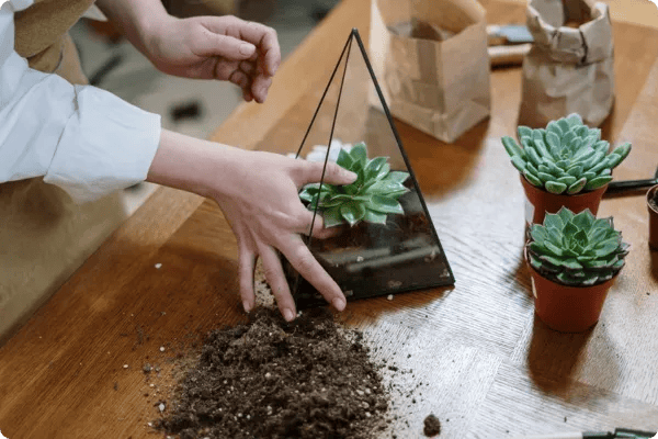 plant terrariums as part of your events breakout session schedule