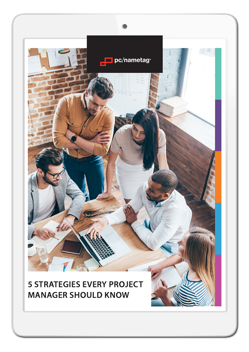 Project Management Ebook in iPad